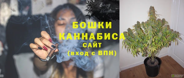 бошки Дмитриев