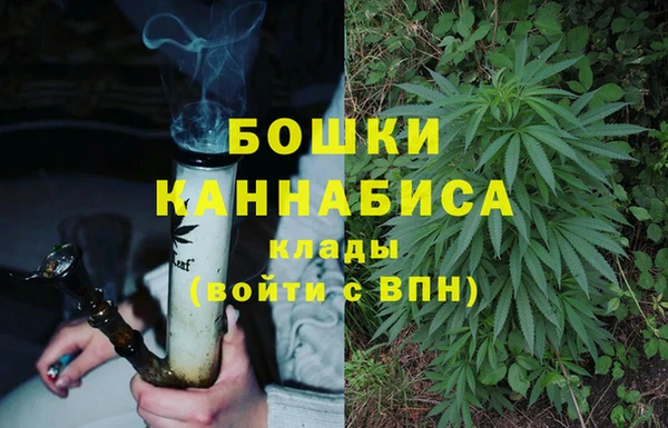 бошки Дмитриев