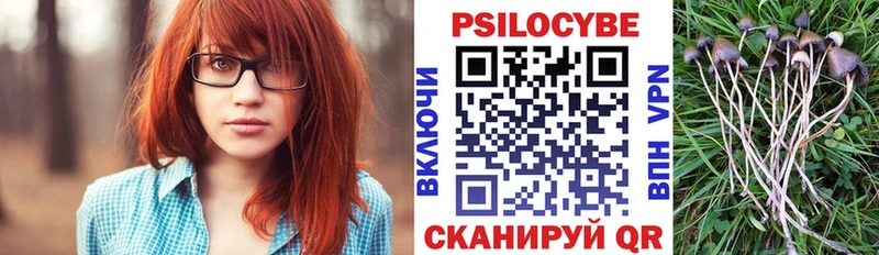 Галлюциногенные грибы мухоморы  Купить закладки  Южноуральск 